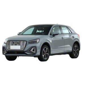 Audi Q2L e-tron