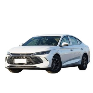 BYD Qin L Dmi