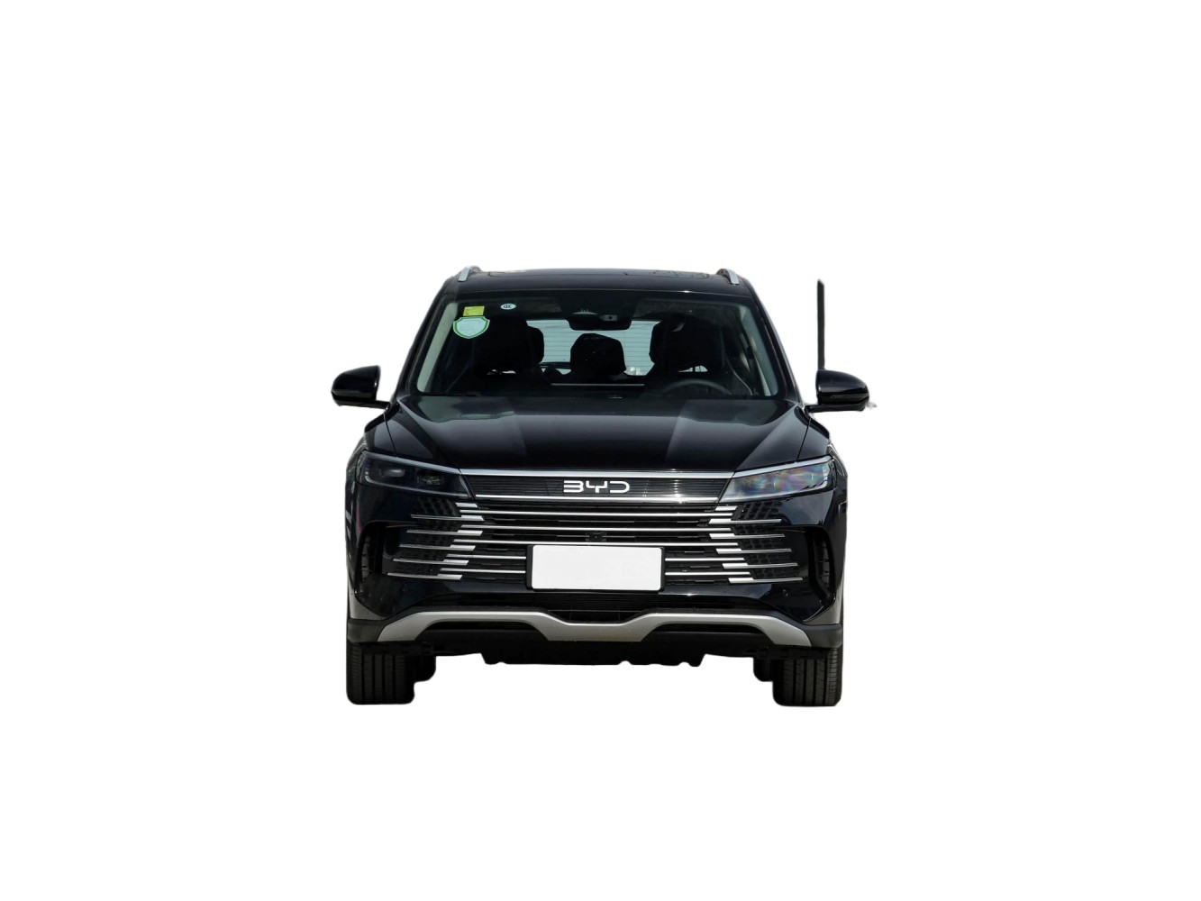 BYD Sealion 05 DM - Image 2