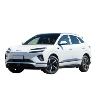 BYD Sealion 06 DM