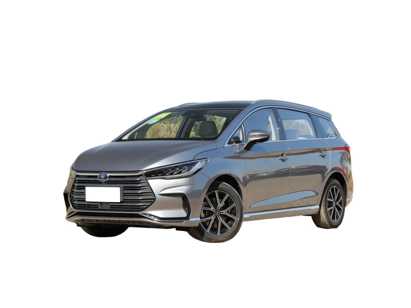 BYD Song Max Dmi