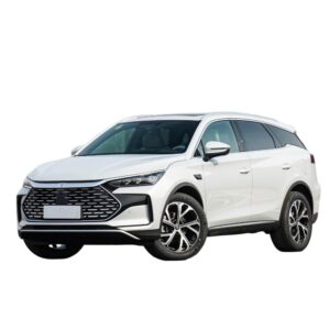 BYD Tang Dmi