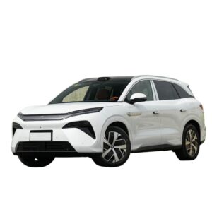 BYD Tang L DM
