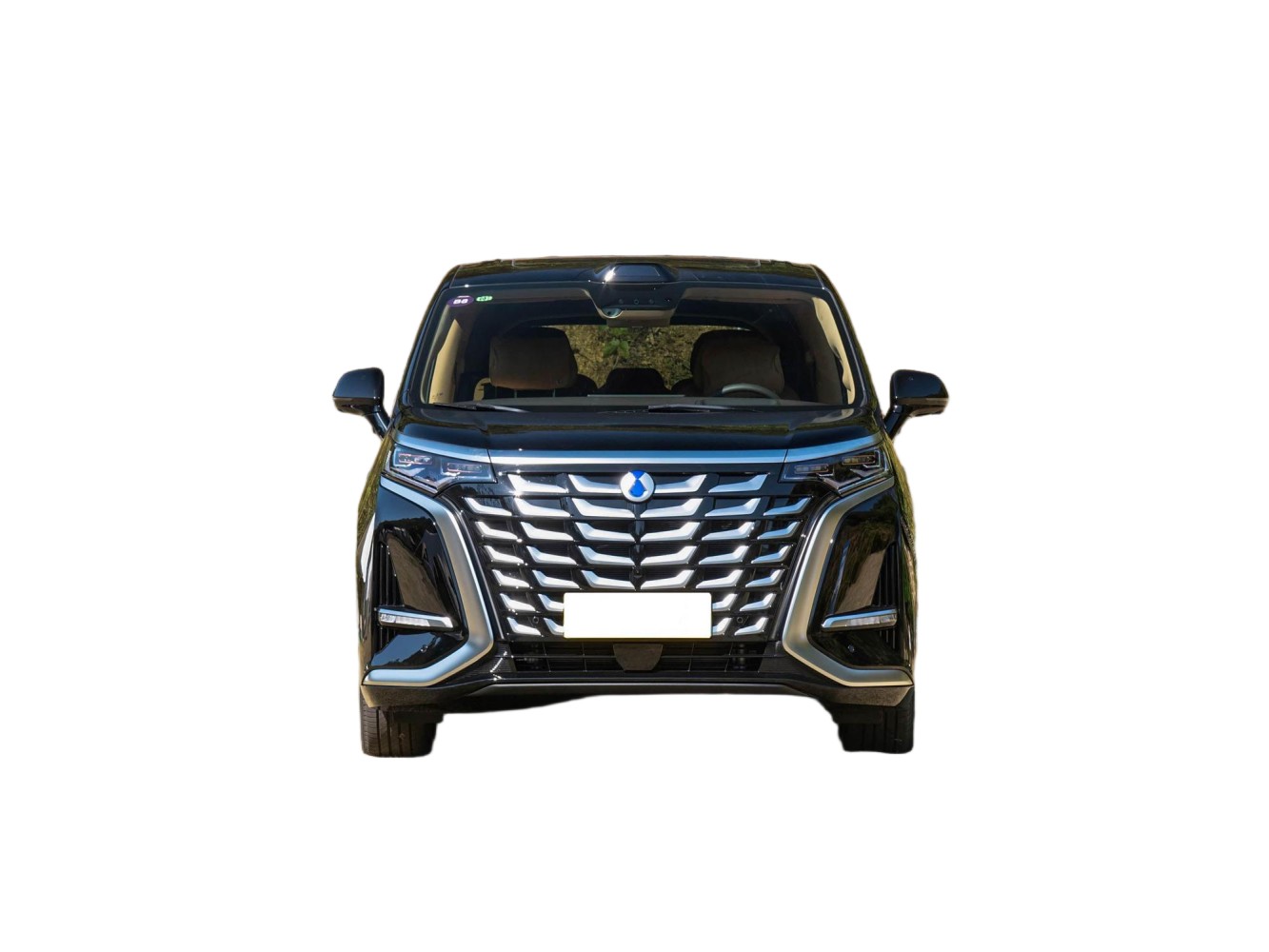 Denza D9 - Image 2