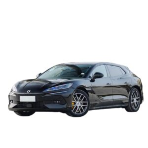 Denza Z9GT DM