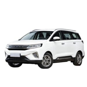 Dayun Yuanzhi M1