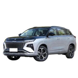 Dongfeng Aeolus Huge