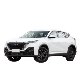 Dongfeng Aeolus Mage