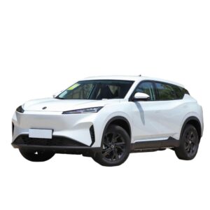 Dongfeng Aeolus SKY EV01