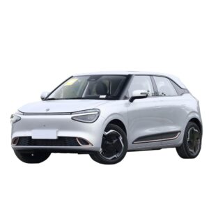 Dongfeng Nammi 01