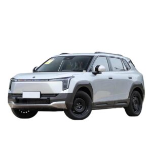 Dongfeng Nammi 06