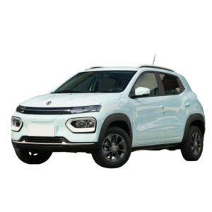 Dongfeng Nano Box