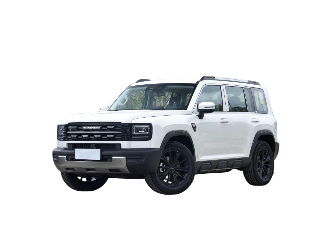 Haval Raptor