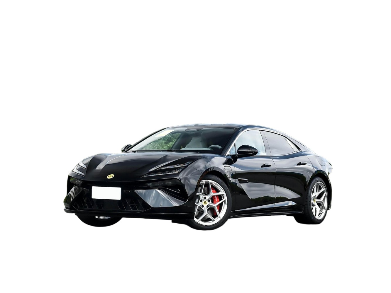 Lotus Emeya