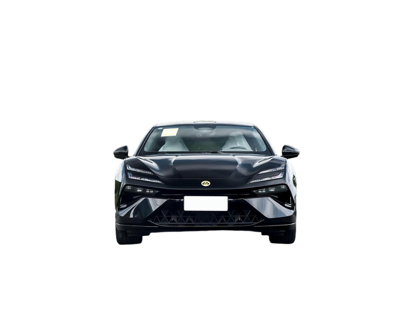 Lotus Emeya - Image 2