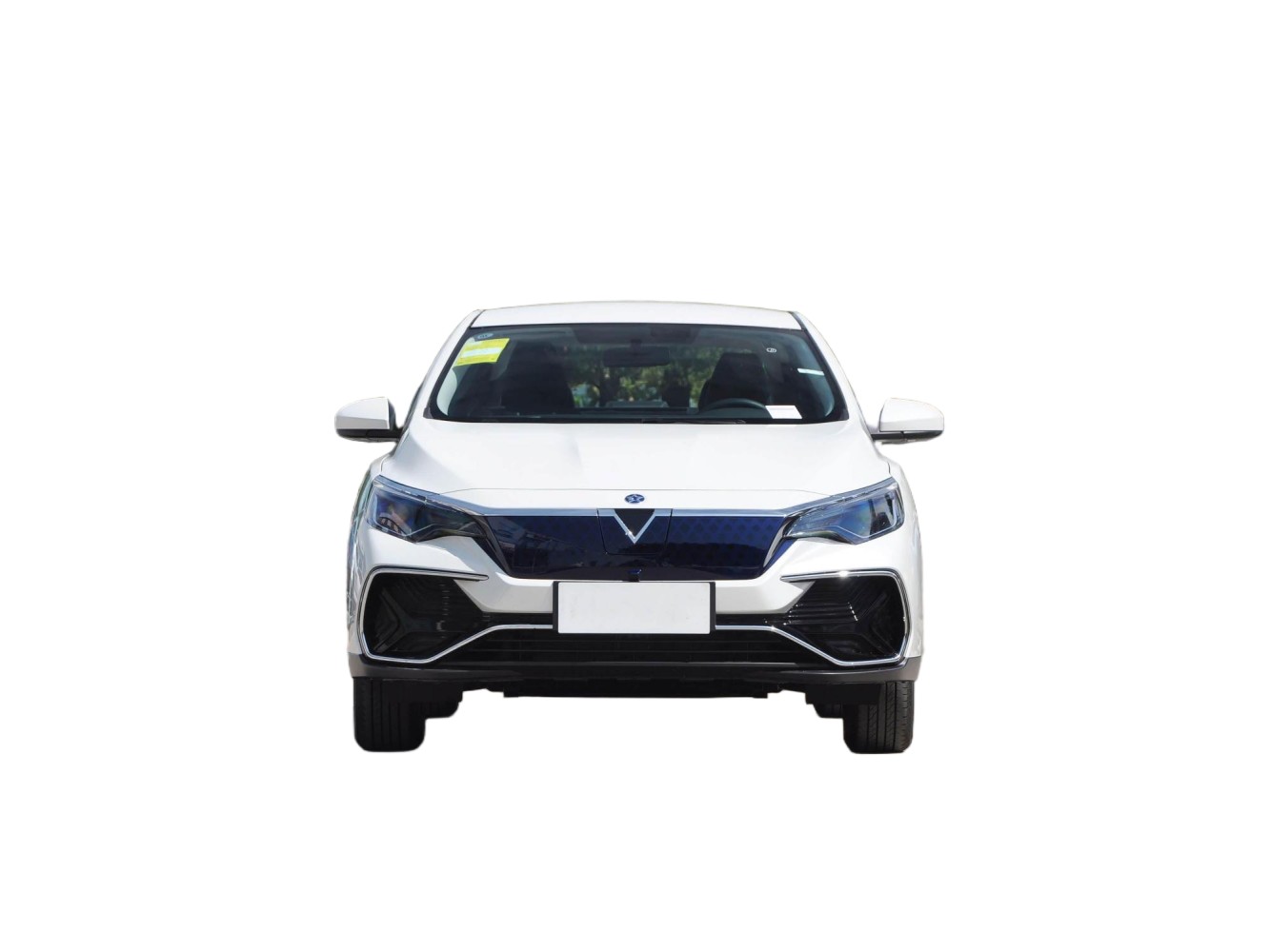 Venucia D60 EV - Image 2