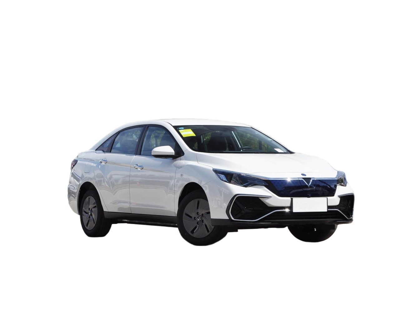 Venucia D60 EV - Image 3