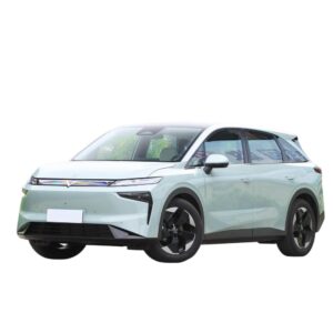 Venucia VX6
