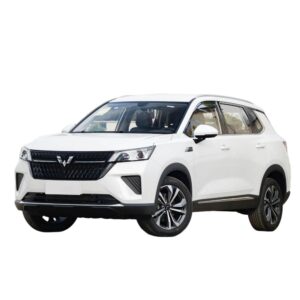 Wuling ASTA