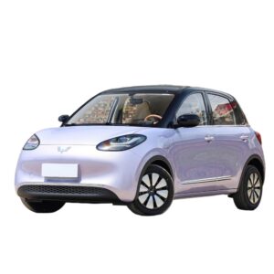 Wuling Bingo
