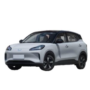 Wuling Bingo Plus