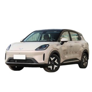 Wuling Bingo S