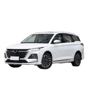 Wuling Victory