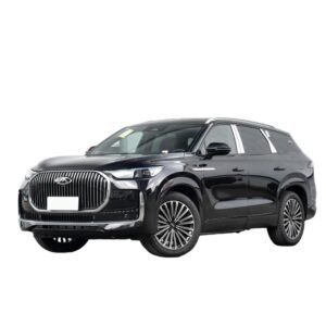 Chery Tiggo 9 C-DM