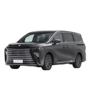 Dongfeng Forthing Xinghai V9