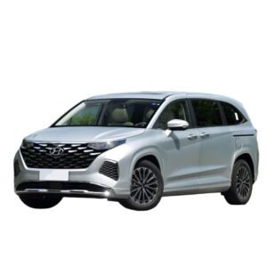 Hyundai Custo